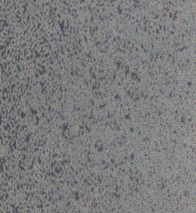 CA46人Burkitt's淋巴瘤細胞主圖