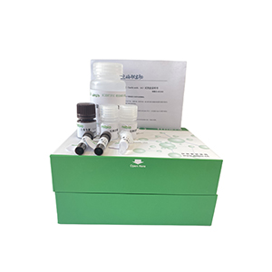 蘋(píng)果酸合酶(MS)活性測(cè)定試劑盒-可見(jiàn)顯色法分光法/24樣主圖