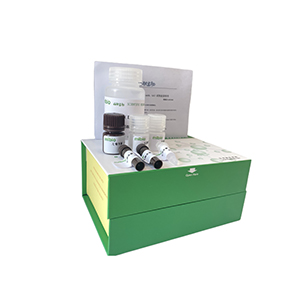 鐵離子還原能力測定試劑盒微板法/96樣主圖