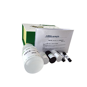 土壤精氨酸脫氨酶活性測定試劑盒微板法/48樣主圖