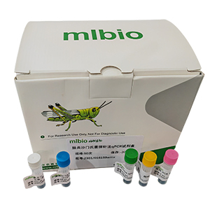 人乳頭瘤病毒39探針法qPCR試劑盒(不含內參)主圖