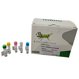 鴨甲型肝炎病毒探針法qRT-PCR試劑盒(不含內參)主圖