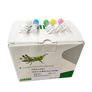 牛源性成分探針法qPCR試劑盒(不含內(nèi)參)主圖