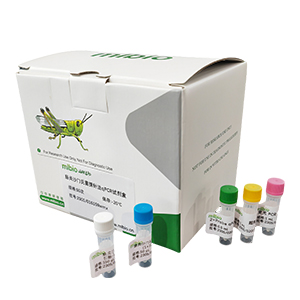 人類HER-2基因探針法qPCR試劑盒(不含內(nèi)參)主圖