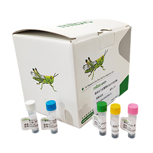 藍莓矮化植原體探針法qPCR試劑盒(不含內(nèi)參)主圖