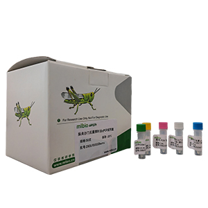 柯薩奇病毒A11型變種探針法qRT-PCR試劑盒(不含內(nèi)參)主圖