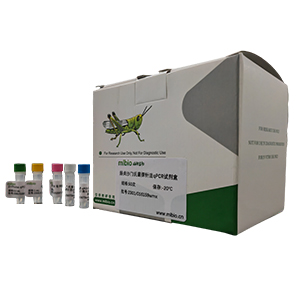 柯薩奇病毒A22型變種探針法qRT-PCR試劑盒(不含內(nèi)參)主圖