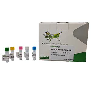 油菜內(nèi)源BnACCg8基因探針?lè)╭PCR試劑盒(不含內(nèi)參)主圖