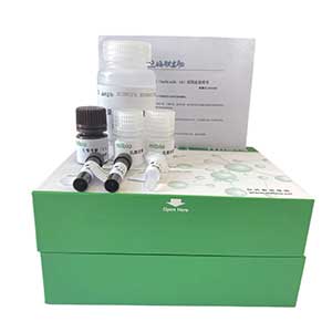 溶菌酶(LZM)活性試劑盒96樣主圖