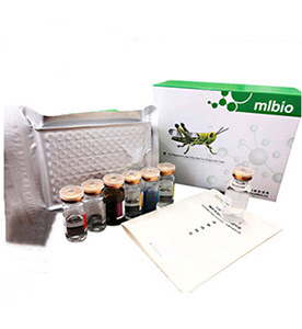 人肝細胞生長因子激活因子(HGFAC)Elisa試劑盒主圖